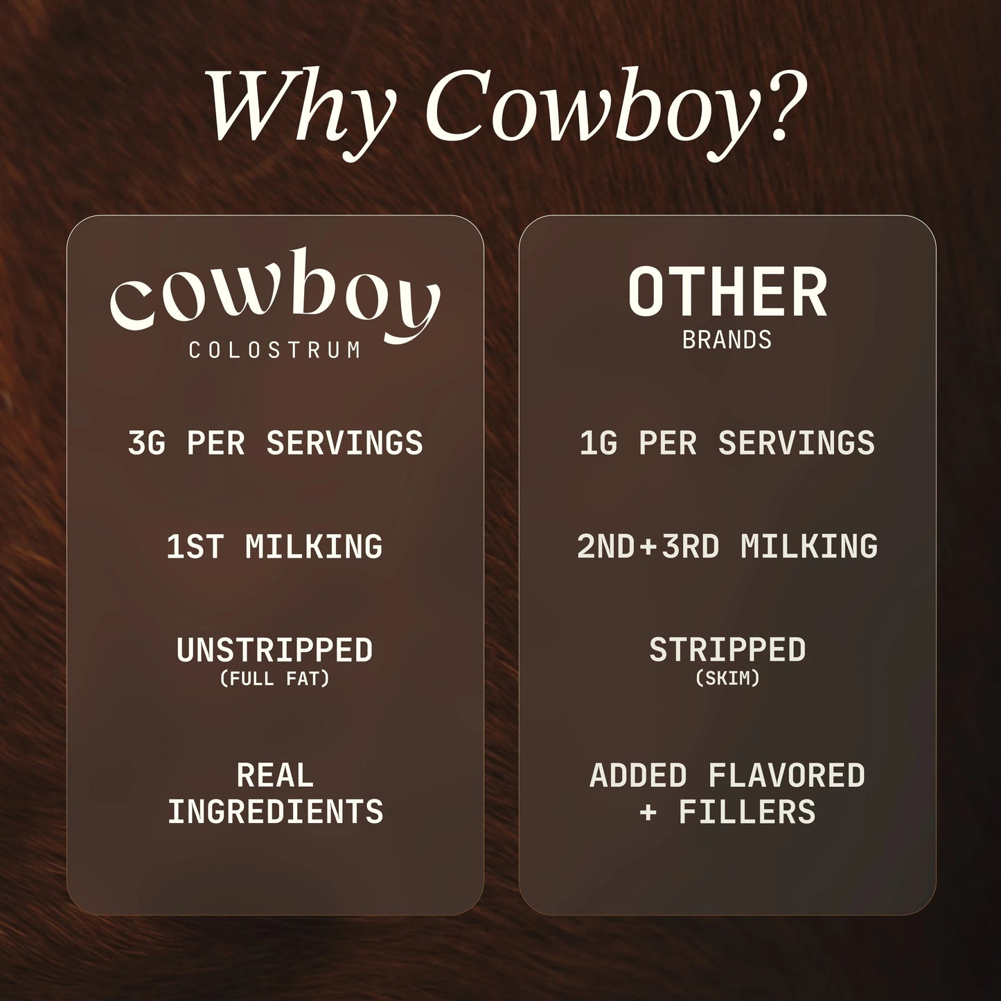Cowboy - The Exclusive 1st Milking, Whole, Grass Fed Colostrum Supplement for Full Body Health - Bovine Colostrum Powder Packed w/Bioactive Nutrients - Sugar Free (Vanilla, 40 Servings)